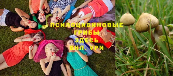 spice Абаза