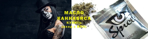 spice Абаза