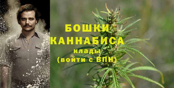 spice Абинск