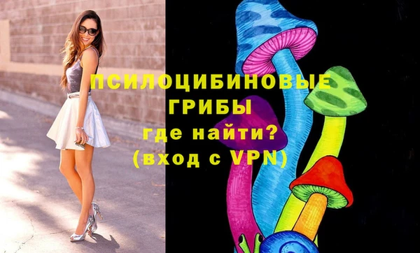 spice Абинск