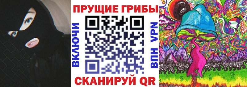 хочу наркоту  Суздаль  hydra как войти  Галлюциногенные грибы GOLDEN TEACHER 